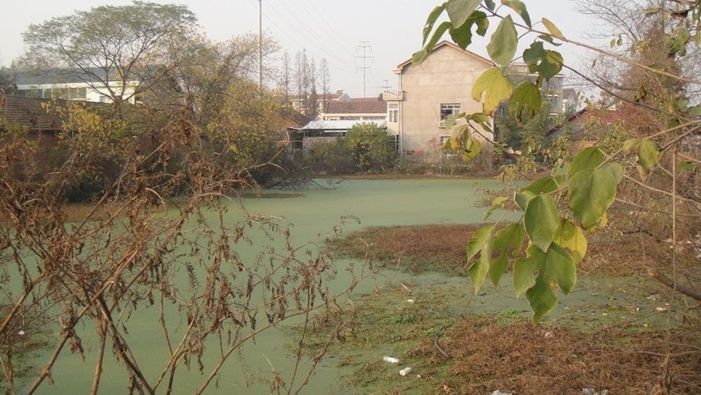 7e208a0f975945fc82f3bbf0215dd657.jpg 7e208a0f975945fc82f3bbf0215dd657.jpg